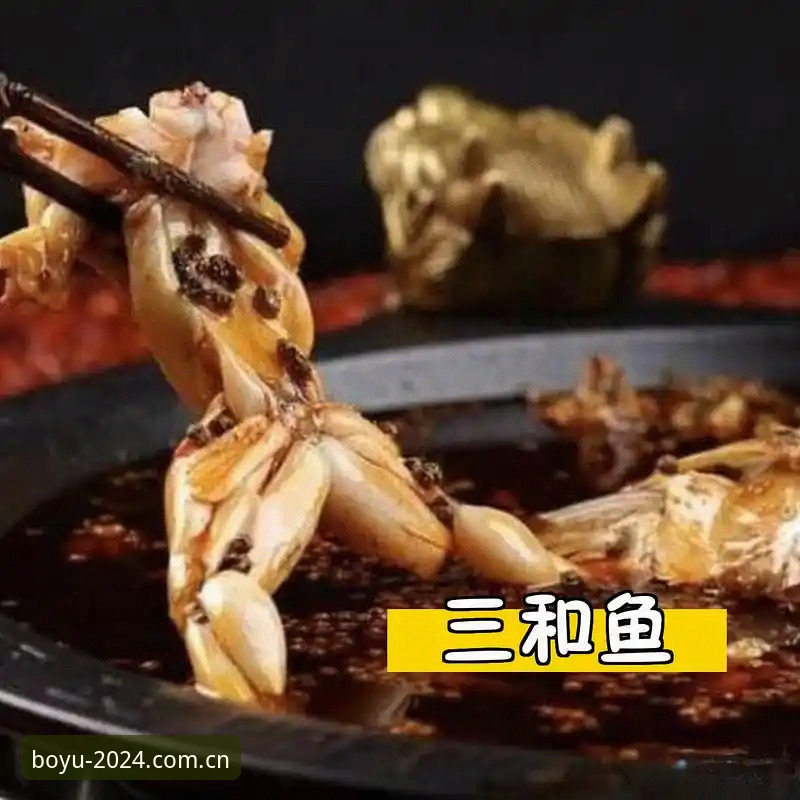 博鱼官方平台的权威服务到底靠不靠谱？从专业角度如何评估体育投注PC版体验？